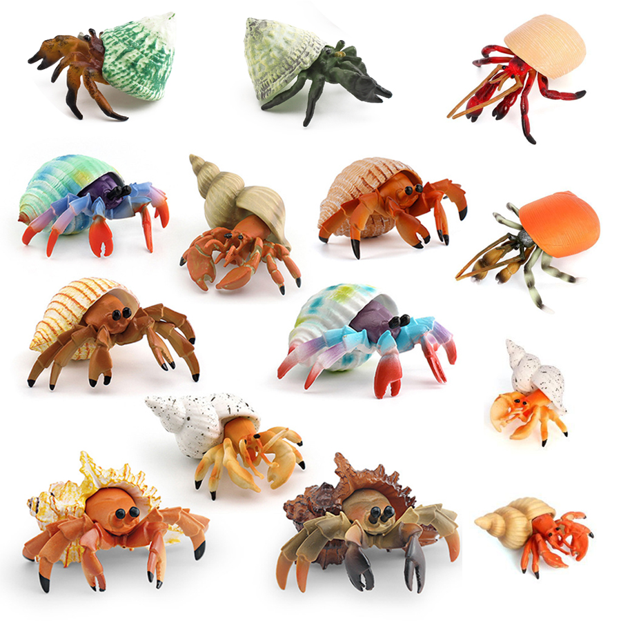 Gerçekçi Münzevi Yengeç Heykel - Kids Toys 3 Year Old incelemesi ve fiyatı